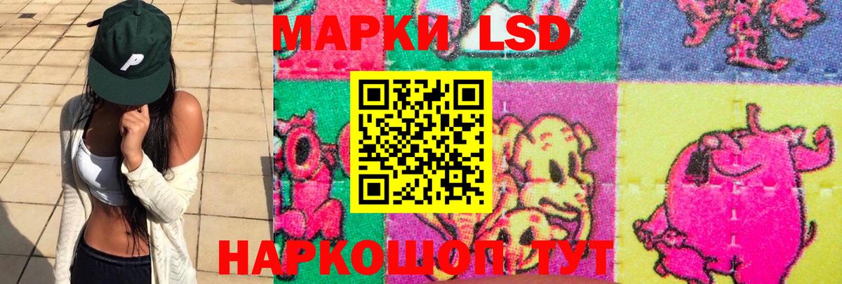 Елизово  Лсд 25 экстази ecstasy  ЛСД экстази  мега онион  Вход с VPN  ЛСД экстази кислота 