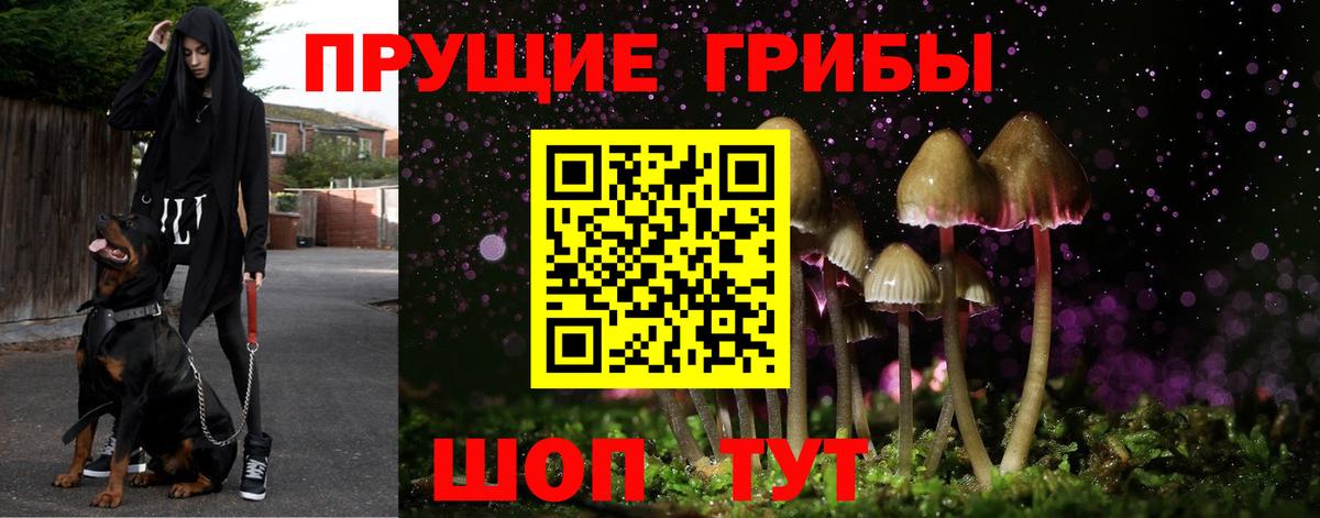 Галлюциногенные грибы Cubensis Елизово